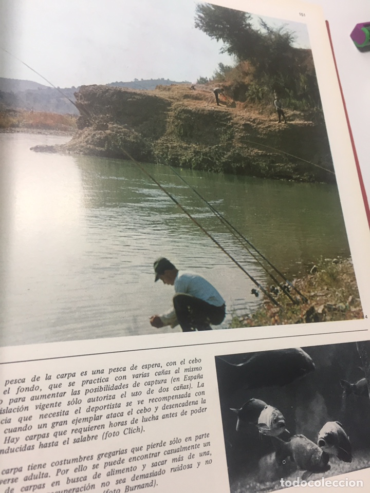 Coleccionismo deportivo: Enciclopedia de la Pesca - Foto 18