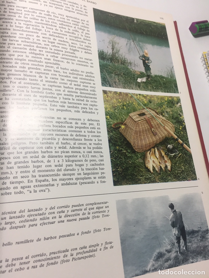 Coleccionismo deportivo: Enciclopedia de la Pesca - Foto 19