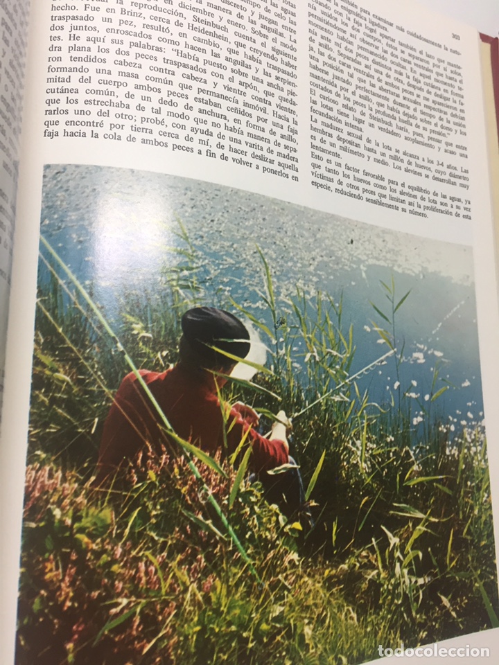 Coleccionismo deportivo: Enciclopedia de la Pesca - Foto 20