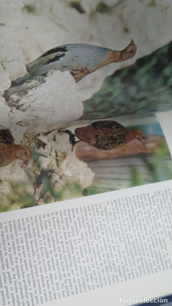 Coleccionismo deportivo: EL LIBRO DE LA CAZA. QUEREMON - Foto 3