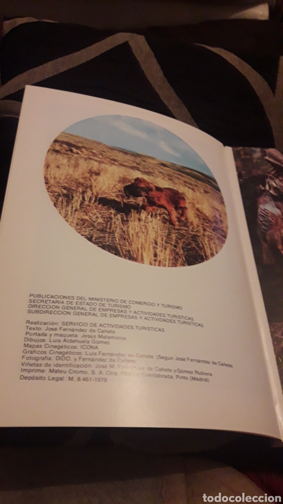 Coleccionismo deportivo: Gu&iacute;a de caza menor, Espa&ntilde;a, libro de 1979 - Foto 3
