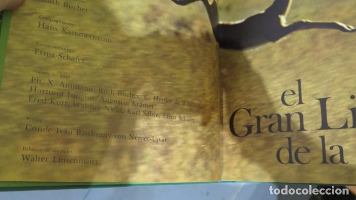 Coleccionismo deportivo: 1971.- EL GRAN LIBRO DE LA CAZA. BLUME - Foto 2