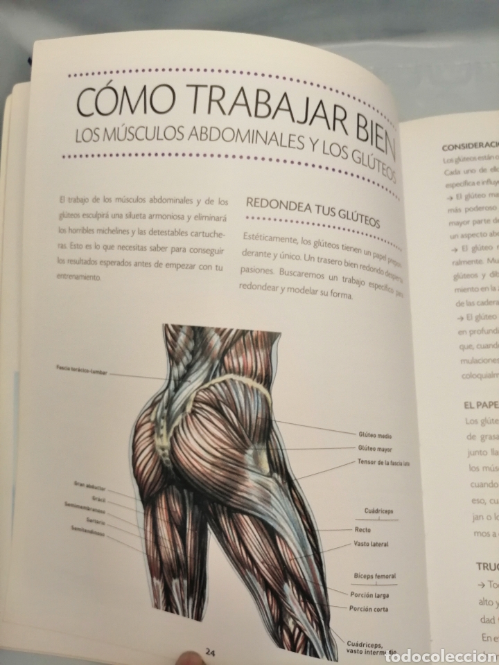 Coleccionismo deportivo: Gl&uacute;teos bonitos y vientre plano - Foto 3