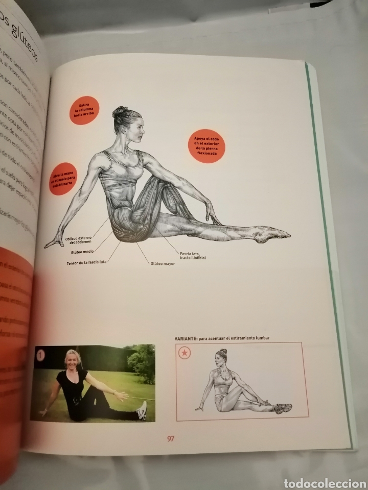 Coleccionismo deportivo: Gl&uacute;teos bonitos y vientre plano - Foto 6