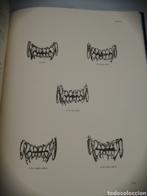 Coleccionismo deportivo: PARA LOS QUE CAZAN O RUSTICAN (OBRA EN ESTUCHE) - Foto 9