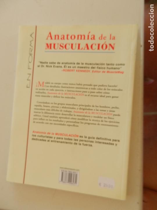 Coleccionismo deportivo: ANATOM&Iacute;A DE LA MUSCULACI&Oacute;N - NICK EVANS - EDICIONES TUTOR 2007. - Foto 2