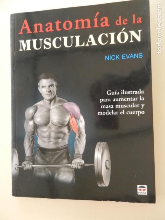 Coleccionismo deportivo: ANATOM&Iacute;A DE LA MUSCULACI&Oacute;N - NICK EVANS - EDICIONES TUTOR 2007. - Foto 1