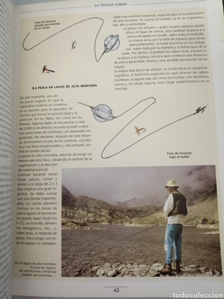 Coleccionismo deportivo: GU&Iacute;A PR&Aacute;CTICA DE LA PESCA (PRIMERA EDICI&Oacute;N) - Foto 5