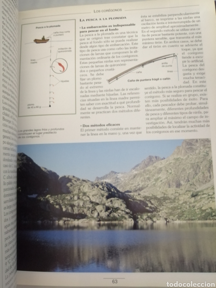 Coleccionismo deportivo: GU&Iacute;A PR&Aacute;CTICA DE LA PESCA (PRIMERA EDICI&Oacute;N) - Foto 6