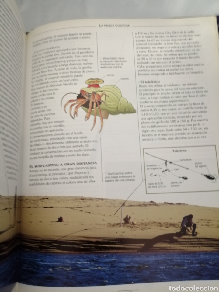 Coleccionismo deportivo: GU&Iacute;A PR&Aacute;CTICA DE LA PESCA (PRIMERA EDICI&Oacute;N) - Foto 11