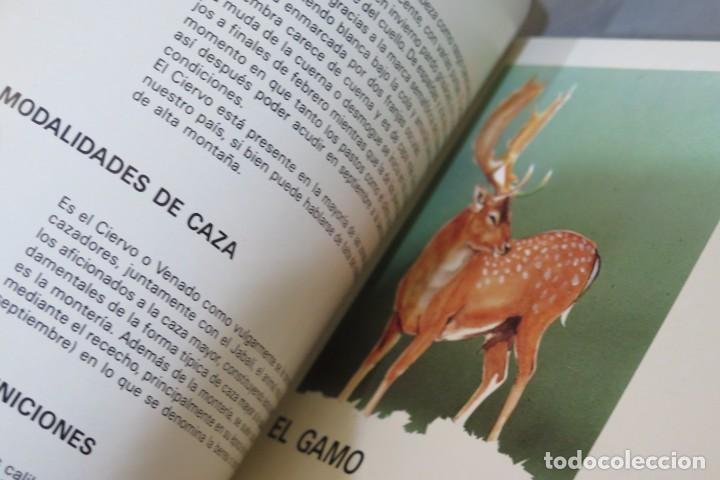 Coleccionismo deportivo: FAUNA CINEGETICA ESPA&Ntilde;OLA - Foto 2