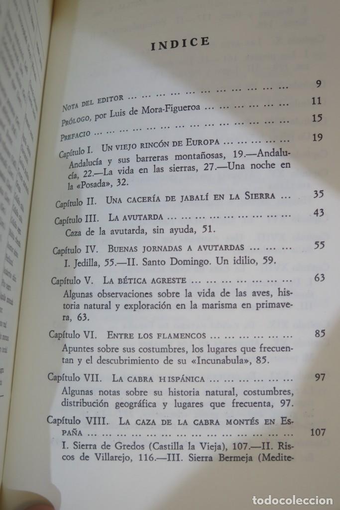 Coleccionismo deportivo: LOS CAZADORES. LA MANCHA. GINER - Foto 5