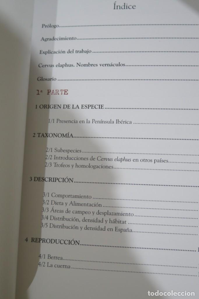 Coleccionismo deportivo: EL CIERVO. OBJETO DE DESEO. DIAZ DE LOS REYES - Foto 3