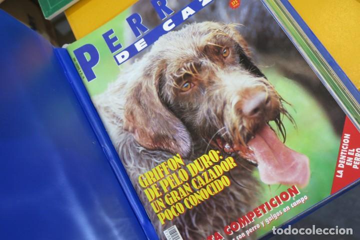Coleccionismo deportivo: PERROS DE CAZA - Foto 2