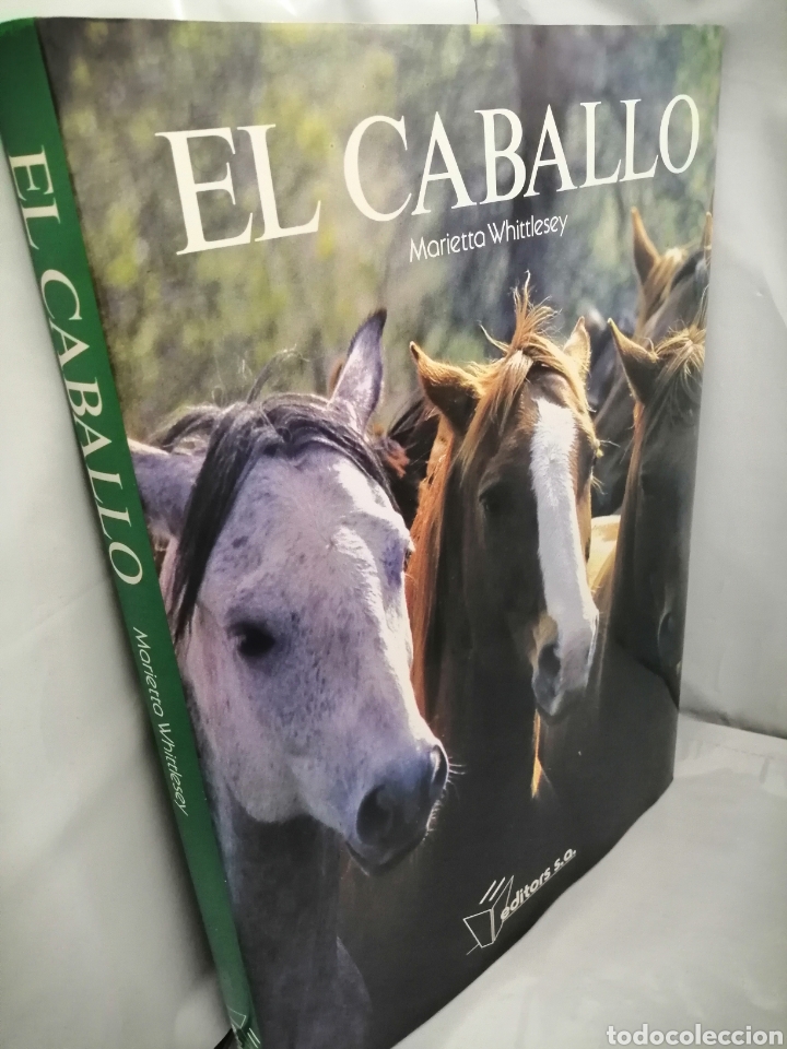 Coleccionismo deportivo: EL CABALLO - Foto 10
