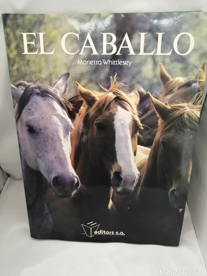 Coleccionismo deportivo: EL CABALLO - Foto 1