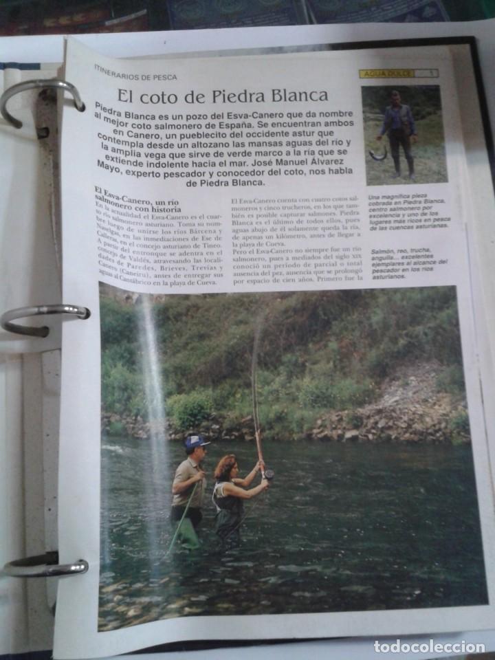 Coleccionismo deportivo: GU&Iacute;A PR&Aacute;CTICA DE LA PESCA - Foto 2