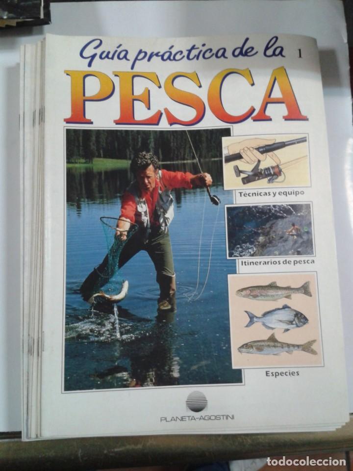 Coleccionismo deportivo: GU&Iacute;A PR&Aacute;CTICA DE LA PESCA - Foto 3