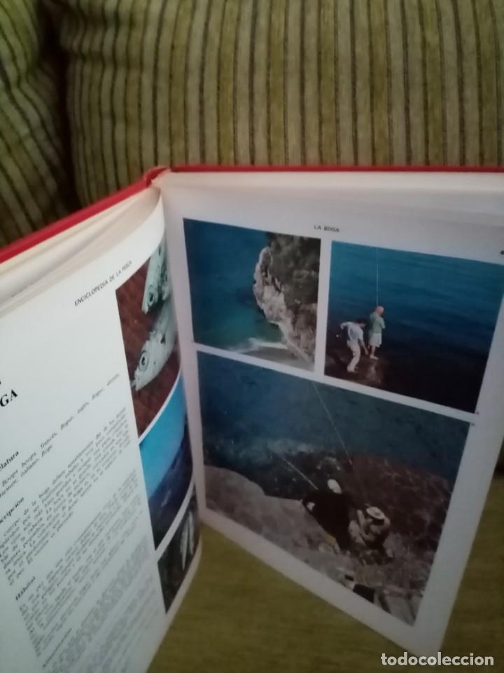 Coleccionismo deportivo: ENCICLOPEDIA DE LA PESCA - Foto 10
