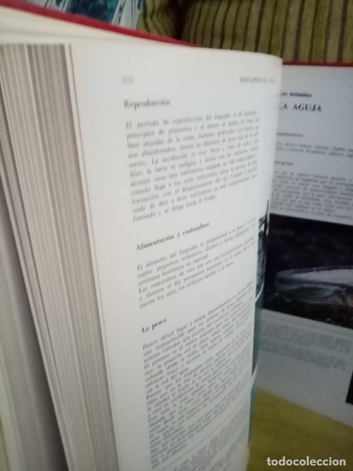 Coleccionismo deportivo: ENCICLOPEDIA DE LA PESCA - Foto 11