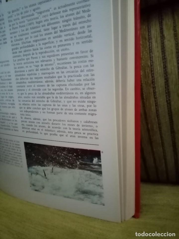 Coleccionismo deportivo: ENCICLOPEDIA DE LA PESCA - Foto 13