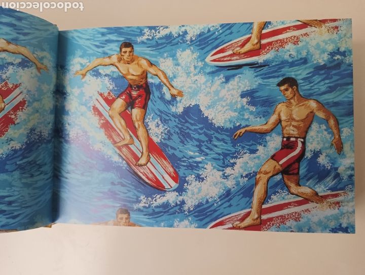 Coleccionismo deportivo: Surf Collection - G. Decoster/A. Gardinier - Ed. Francesa - Foto 5