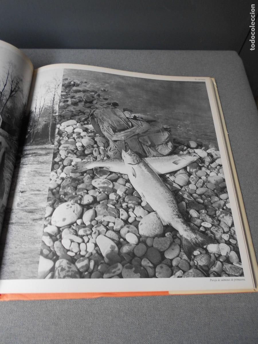 Coleccionismo deportivo: ALEGRIAS DE LA PESCA - Foto 10