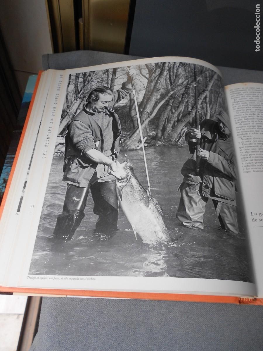 Coleccionismo deportivo: ALEGRIAS DE LA PESCA - Foto 12