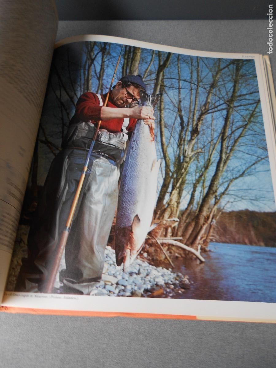 Coleccionismo deportivo: ALEGRIAS DE LA PESCA - Foto 14