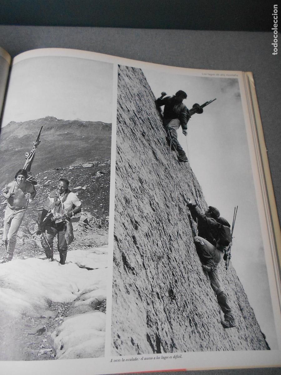 Coleccionismo deportivo: ALEGRIAS DE LA PESCA - Foto 15