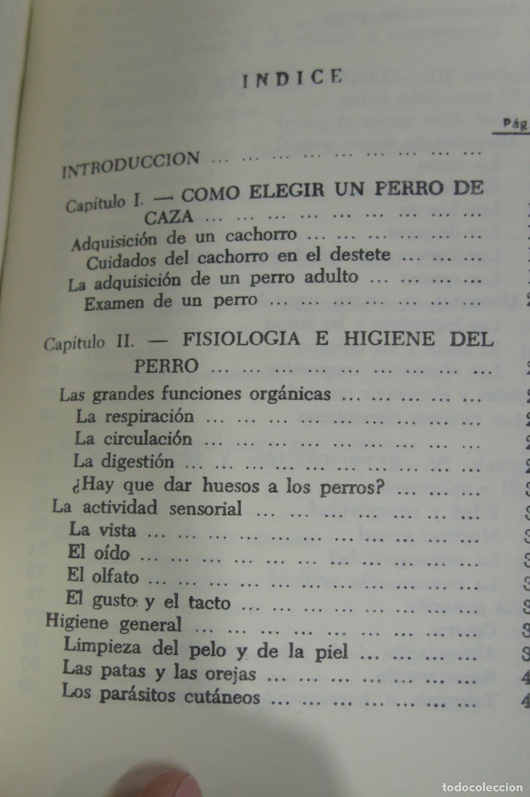 Coleccionismo deportivo: El perro de caza Pons. Gendrau - Foto 2