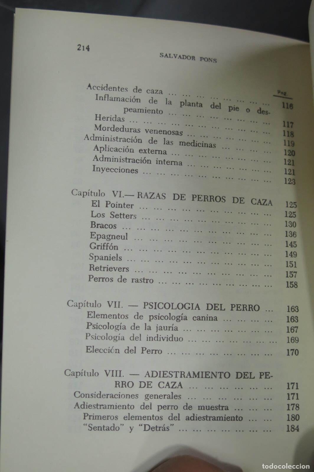 Coleccionismo deportivo: El perro de caza Pons. Gendrau - Foto 5