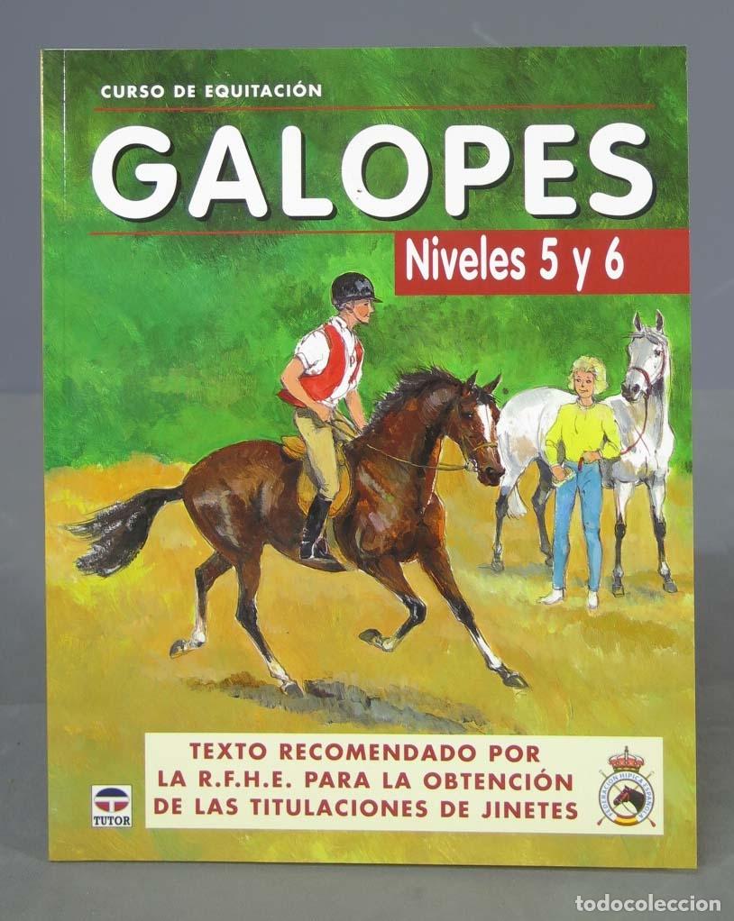 Coleccionismo deportivo: Curso de equitaci&oacute;n. Galopes. Niveles 5 y 6 - Foto 1