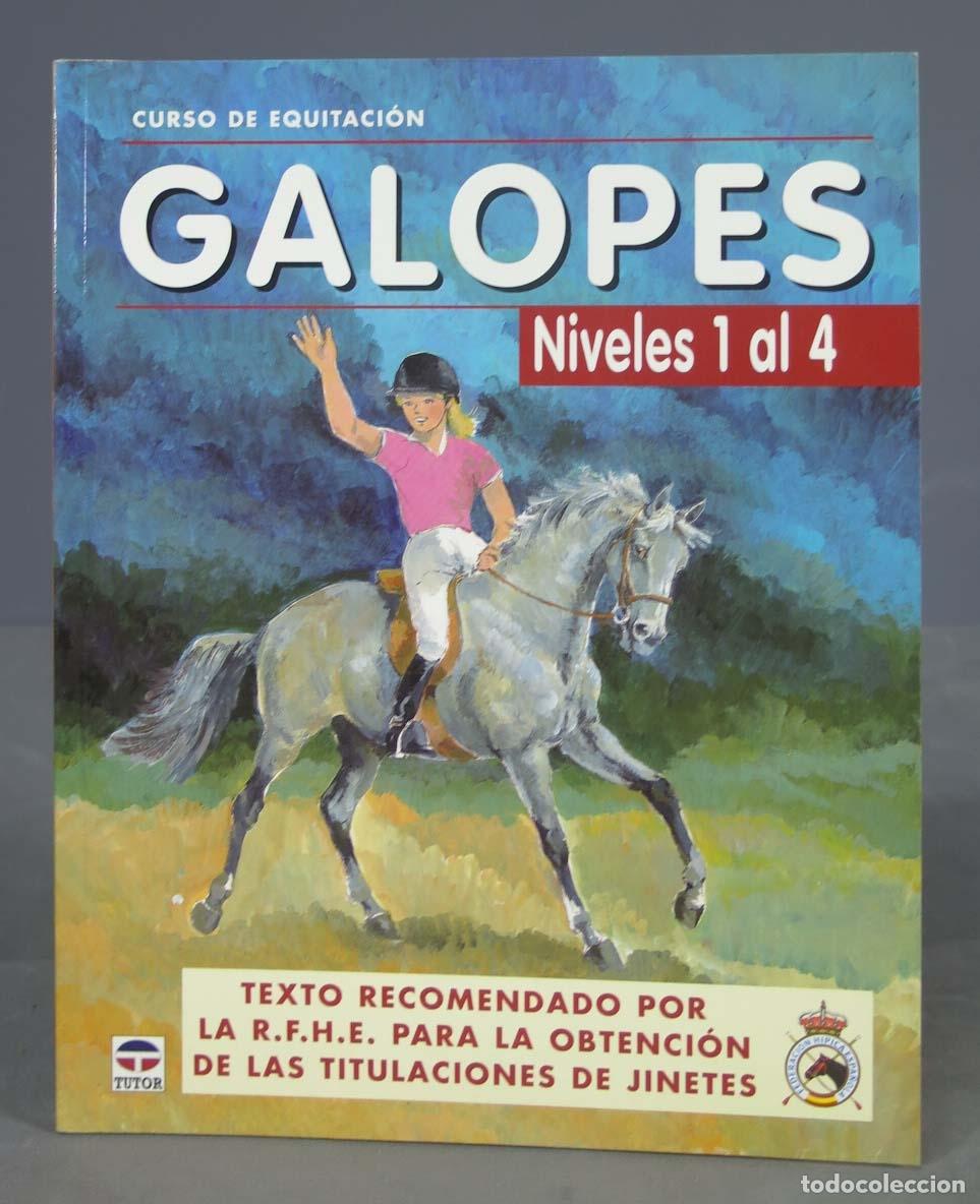 Coleccionismo deportivo: CURSO DE EQUITACI&Oacute;N. GALOPES. NIVELES 1 AL 4 - Foto 1