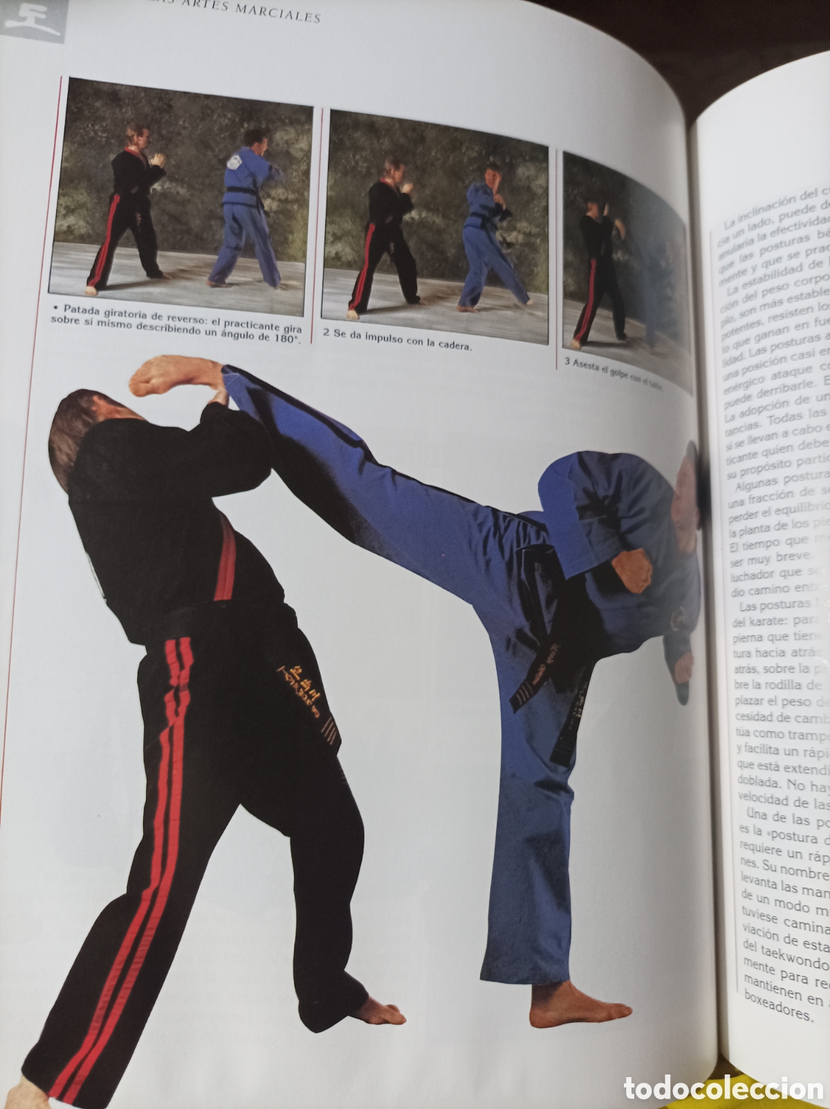 Coleccionismo deportivo: Las artes marciales Peter Lewis - Foto 9
