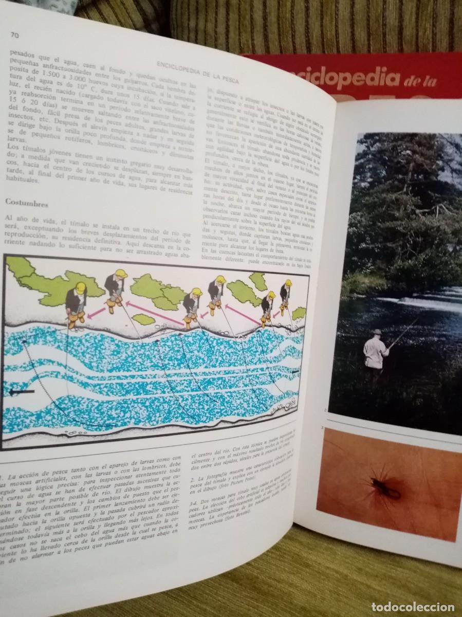 Coleccionismo deportivo: ENCICLOPEDIA DE LA PESCA - Foto 16