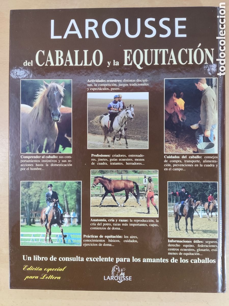 Coleccionismo deportivo: LAROUSSE DEL CABALLO Y LA EQUITACI&Oacute;N / 2004 - Foto 5