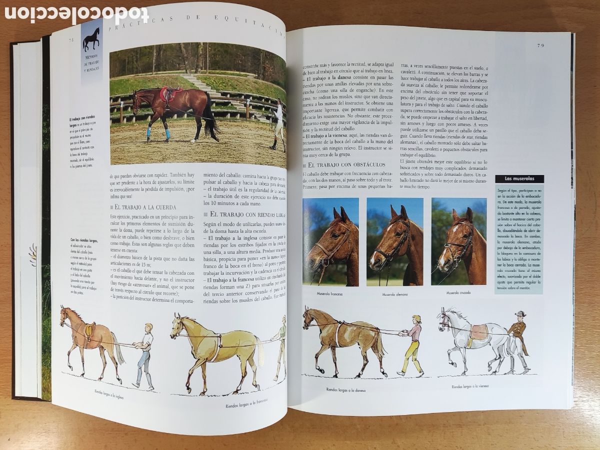 Coleccionismo deportivo: LAROUSSE DEL CABALLO Y LA EQUITACI&Oacute;N / 2004 - Foto 4