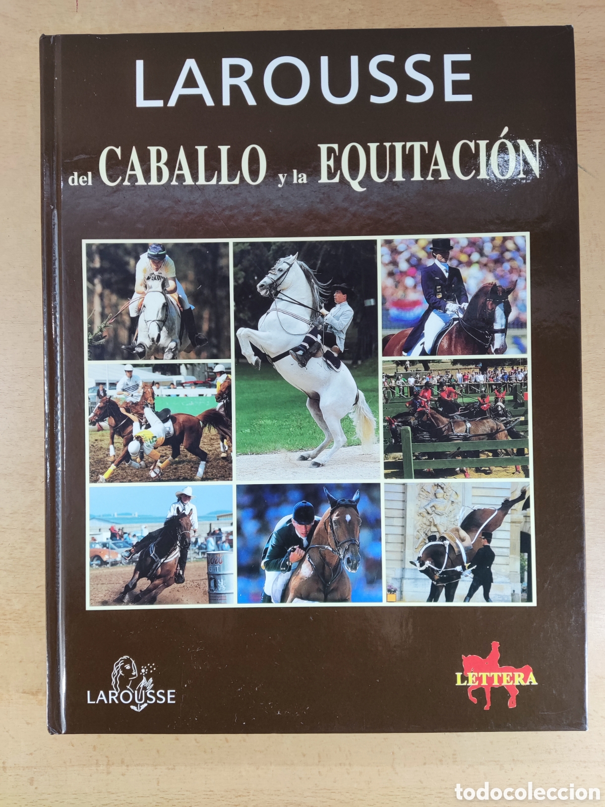 Coleccionismo deportivo: LAROUSSE DEL CABALLO Y LA EQUITACI&Oacute;N / 2004 - Foto 1