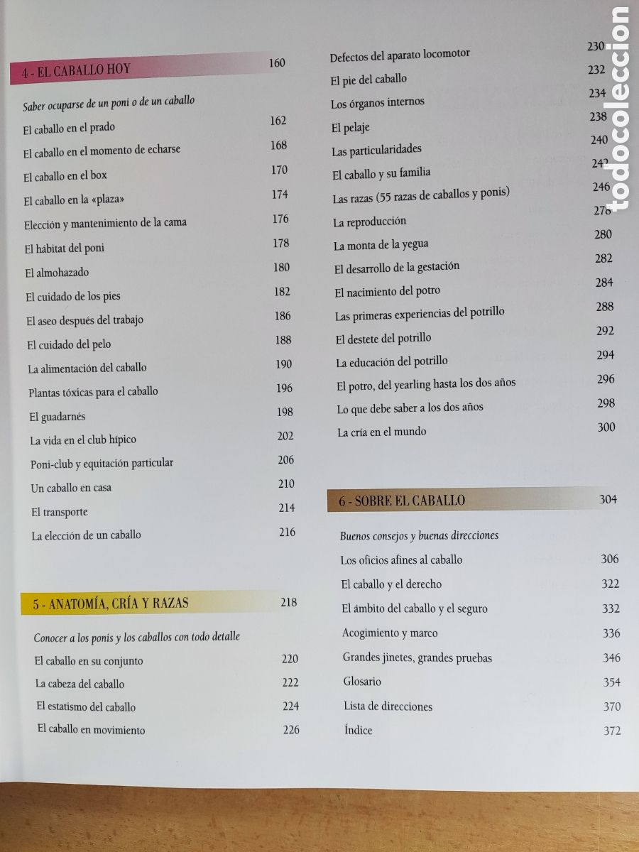 Coleccionismo deportivo: LAROUSSE DEL CABALLO Y LA EQUITACI&Oacute;N / 2004 - Foto 3
