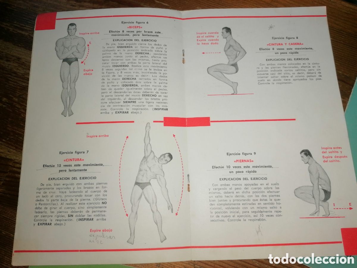 Coleccionismo deportivo: CURSO DE CULTURISMO SANSON INSTITUT - Foto 2