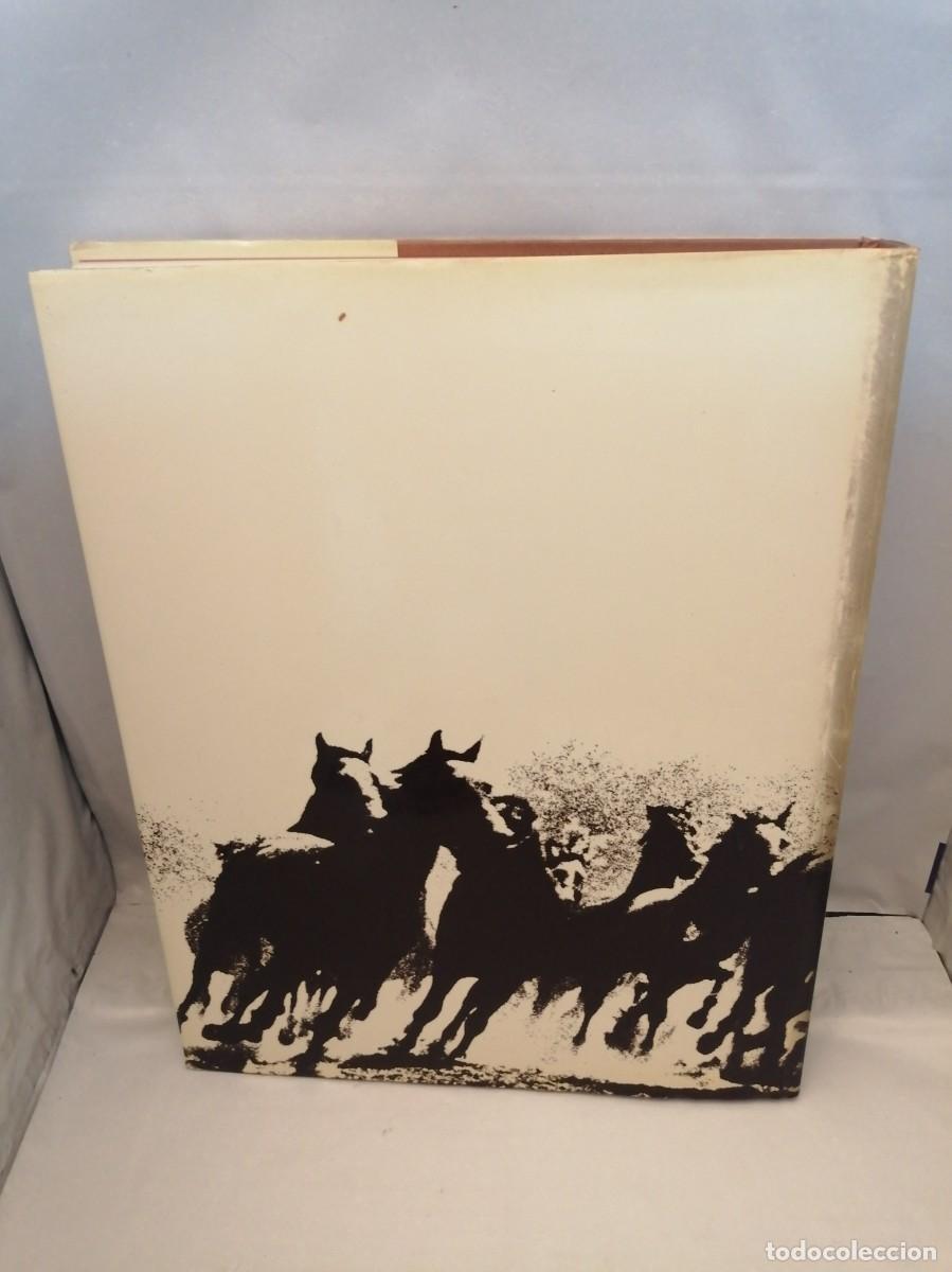Coleccionismo deportivo: El gran libro del caballo (Tapa dura) - Foto 2