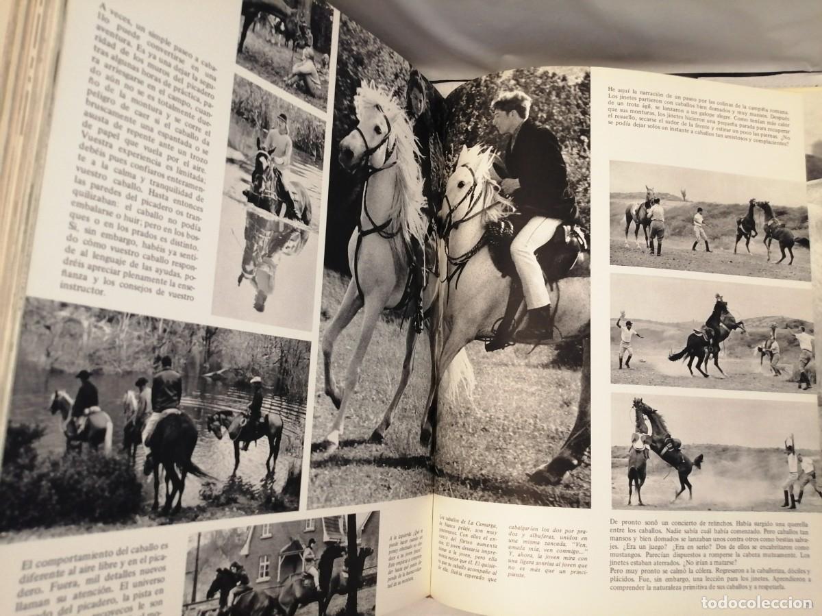 Coleccionismo deportivo: El gran libro del caballo (Tapa dura) - Foto 3