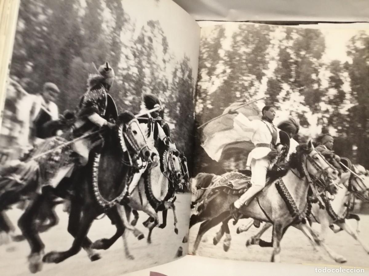 Coleccionismo deportivo: El gran libro del caballo (Tapa dura) - Foto 4