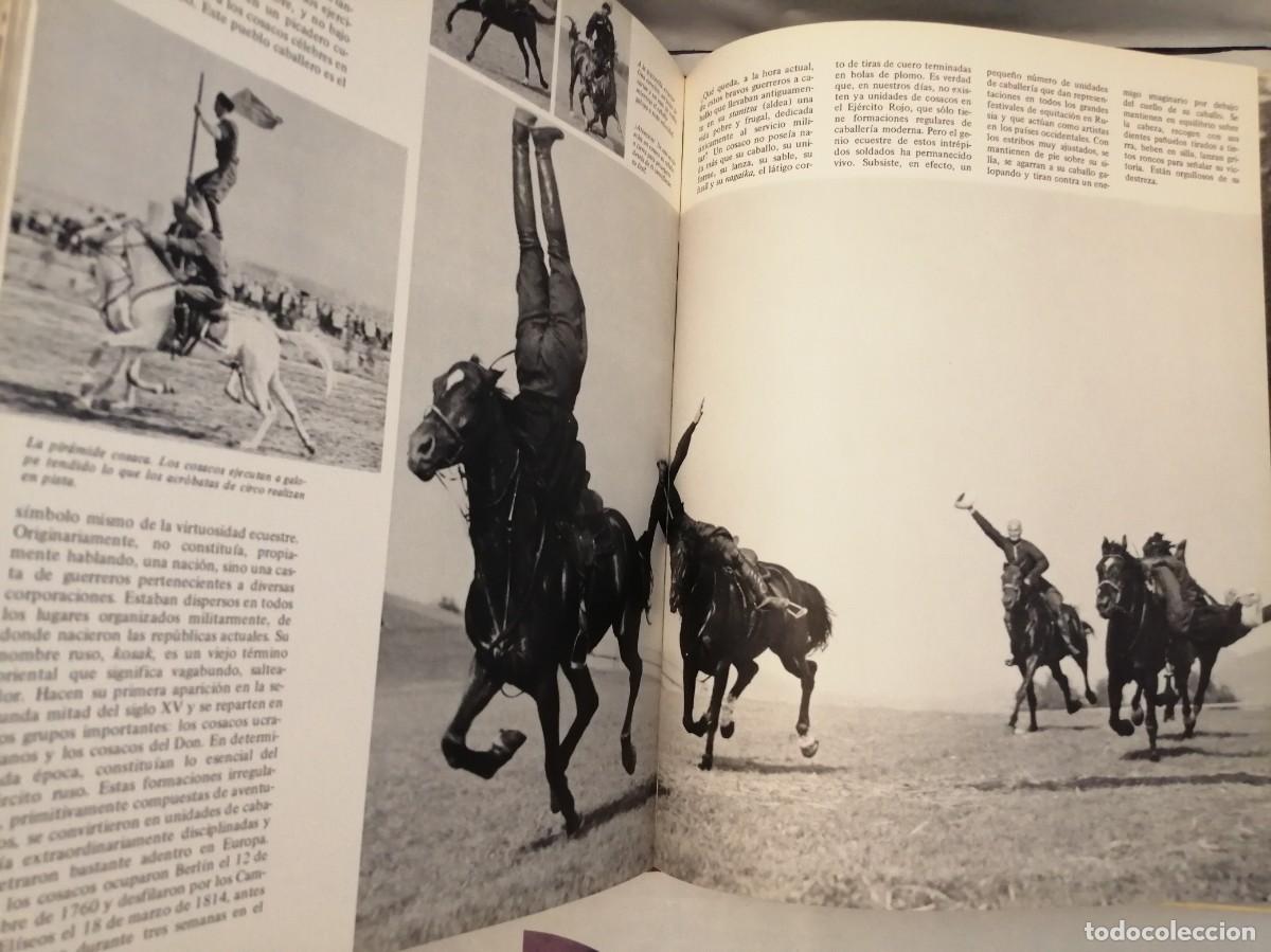 Coleccionismo deportivo: El gran libro del caballo (Tapa dura) - Foto 5