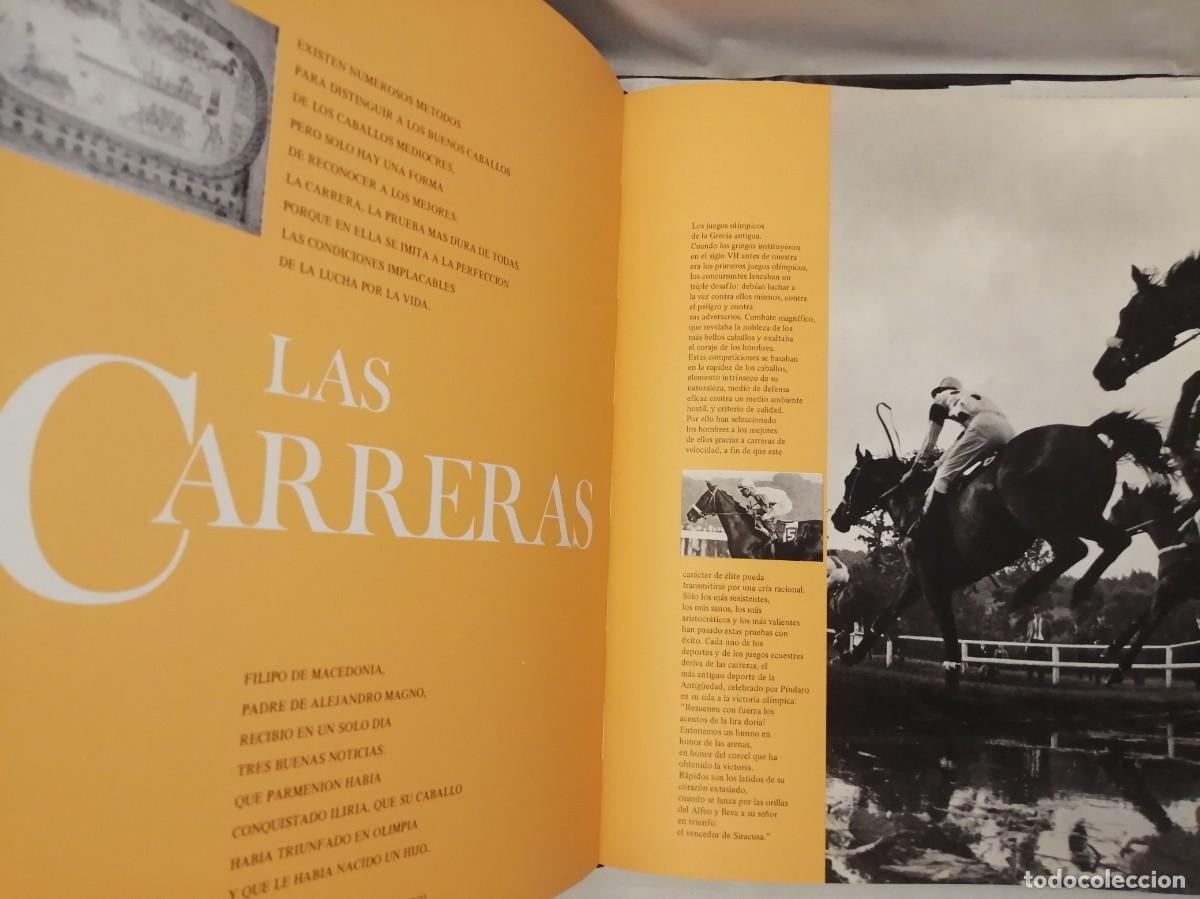 Coleccionismo deportivo: El gran libro del caballo (Tapa dura) - Foto 6