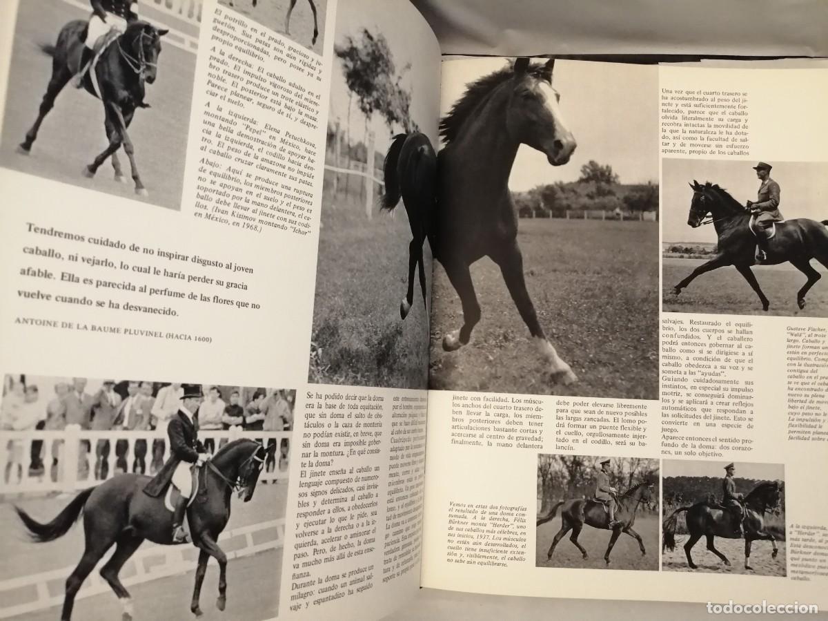 Coleccionismo deportivo: El gran libro del caballo (Tapa dura) - Foto 7