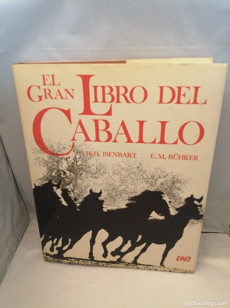 Coleccionismo deportivo: El gran libro del caballo (Tapa dura) - Foto 1