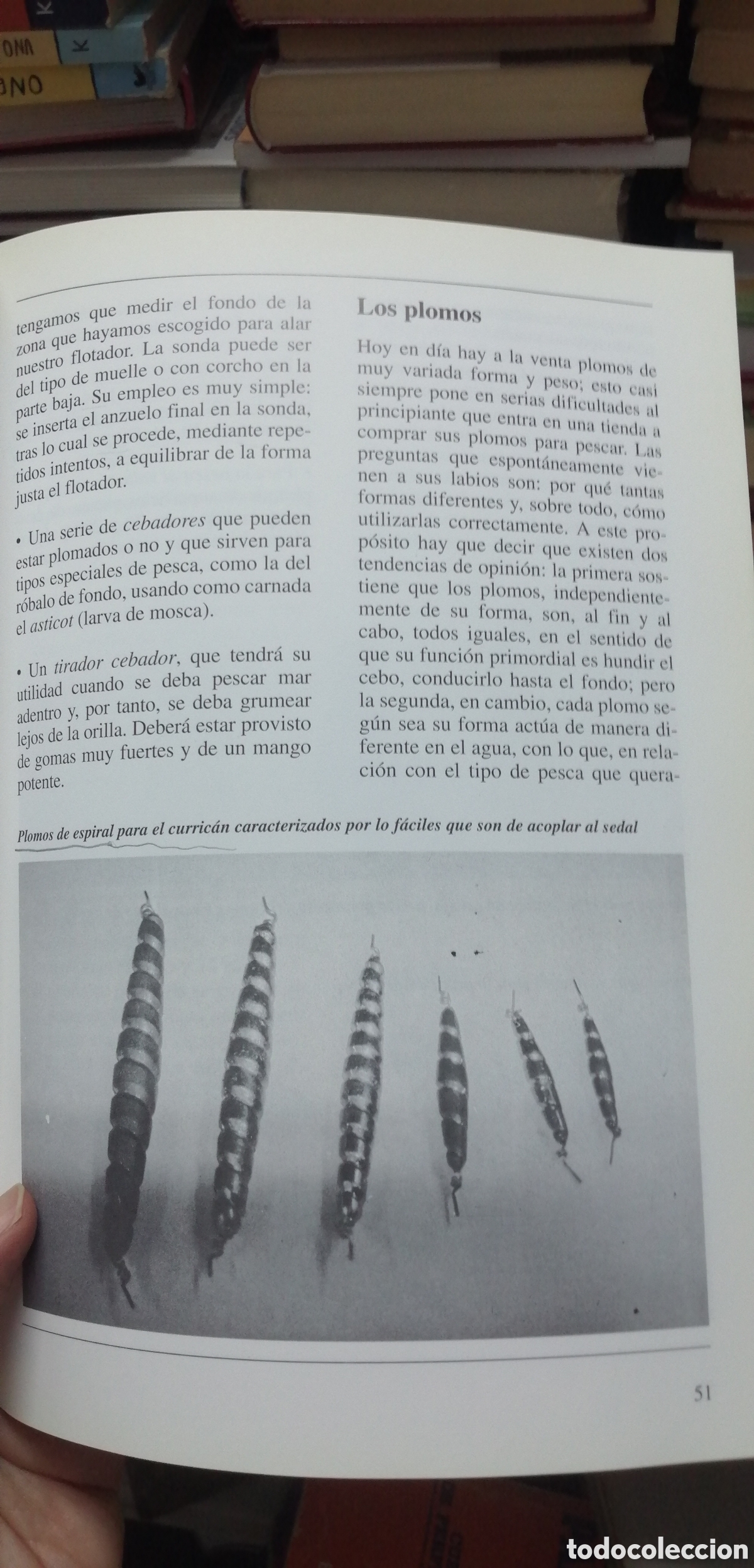 Coleccionismo deportivo: Curso de pesca en el mar Giuseppe Genta Editorial de Vecchi 1993 - Foto 13