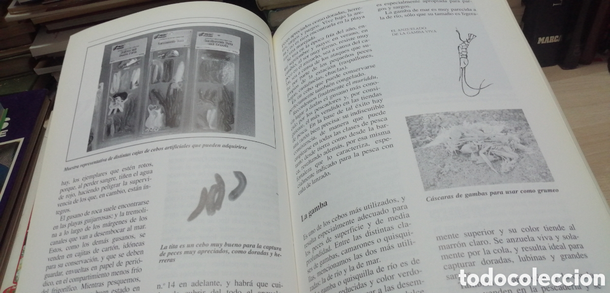 Coleccionismo deportivo: Curso de pesca en el mar Giuseppe Genta Editorial de Vecchi 1993 - Foto 14